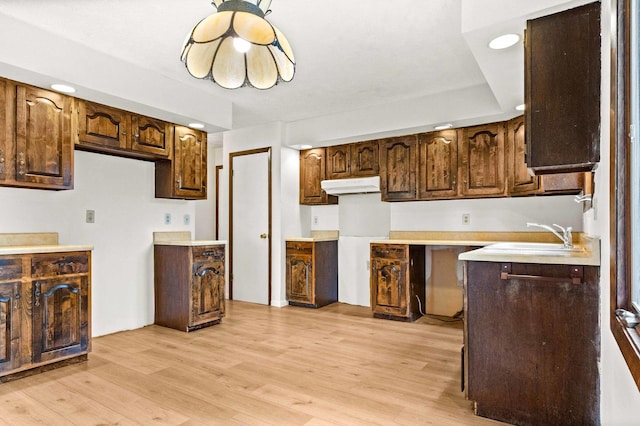 1219 Nicki Dr, Bloomington, IL 61704 - kitchen with under cabinet range hood, light wood-style floors, light countertops, and recessed lighting
