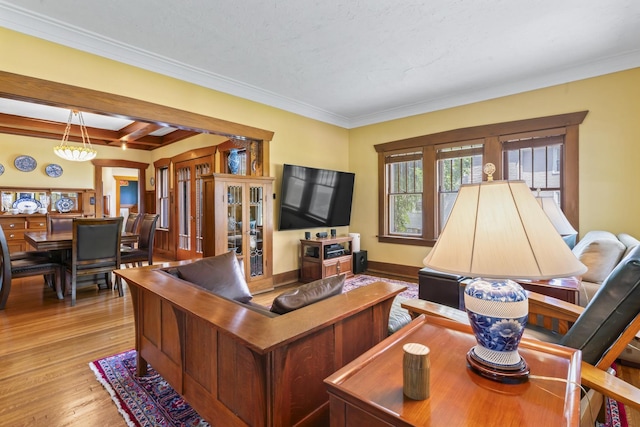 321 W Chebanse Ave, Chebanse, IL 60922 - living area with wood finished floors, ornamental molding, and a chandelier