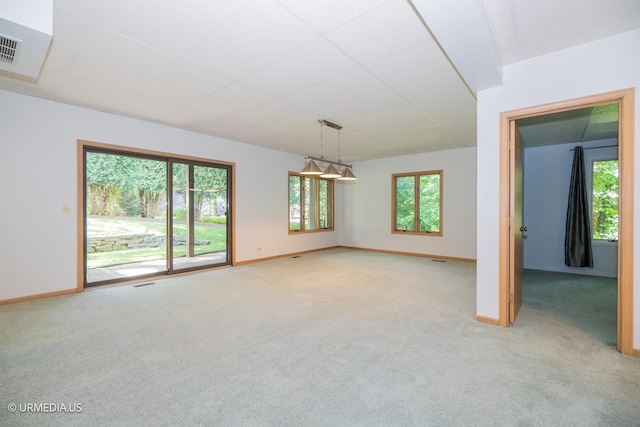 455 Eton Dr, North Barrington, IL 60010 - photo 37
