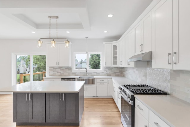 16540 Pear Ave, Orland Park, IL 60467 - kitchen with stainless steel appliances, under cabinet range hood, plenty of natural light, a tray ceiling, and recessed lighting