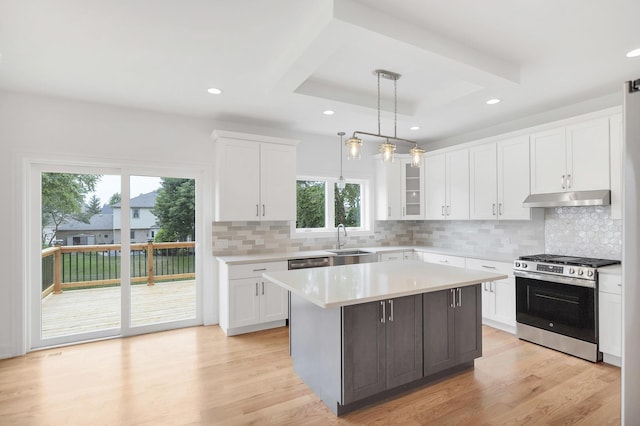 16540 Pear Ave, Orland Park, IL 60467 - kitchen with stainless steel range with gas stovetop, under cabinet range hood, light countertops, healthy amount of natural light, and recessed lighting