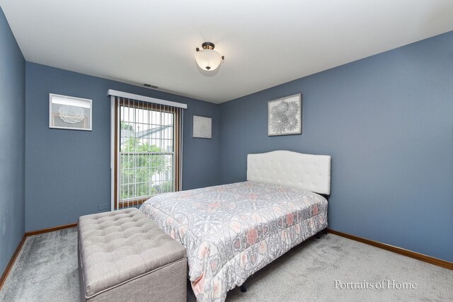 2254 Petworth Ct Unit 202D, Naperville, IL 60565 - photo 11