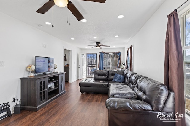 245 N 6th Ave, Kankakee, IL 60901 - living room with ceiling fan, plenty of natural light, recessed lighting, and dark wood finished floors