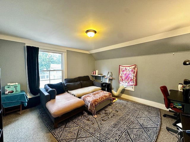 39 Leonard St, Elgin, IL 60123 - carpeted living area featuring vaulted ceiling