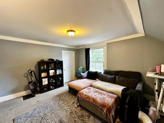 39 Leonard St, Elgin, IL 60123 - living room featuring carpet floors and lofted ceiling