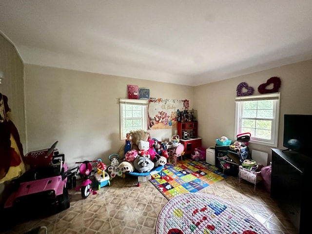 39 Leonard St, Elgin, IL 60123 - view of rec room
