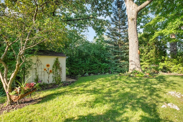 4316 W Summerdale Ave, Chicago, IL 60630 - photo 37