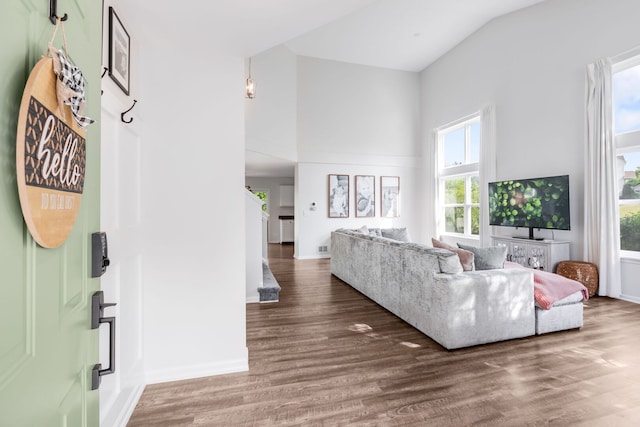1356 Geneva Ln, Cary, IL 60013 - living area featuring high vaulted ceiling and wood finished floors