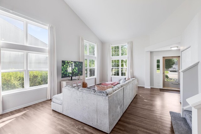 1356 Geneva Ln, Cary, IL 60013 - living area featuring wood finished floors and high vaulted ceiling