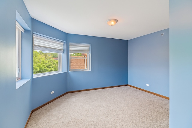 35 Terrace Ln Unit C, Lake Zurich, IL 60047 - photo 22