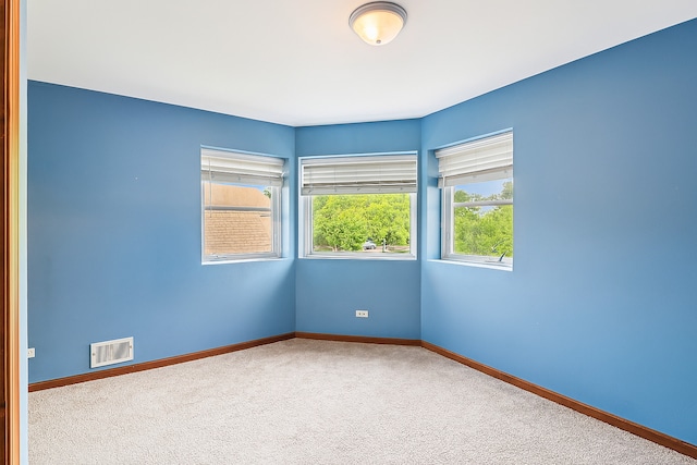 35 Terrace Ln Unit C, Lake Zurich, IL 60047 - photo 24