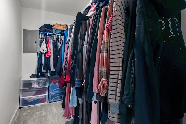 6411 Lincoln Ave Unit 412, Morton Grove, IL 60053 - walk in closet with electric panel and carpet