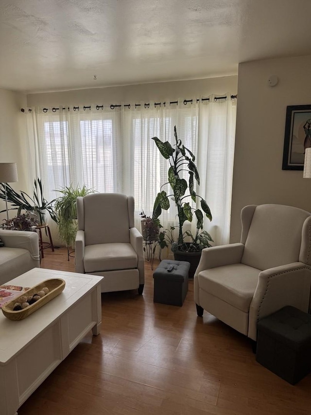 living area with wood finished floors