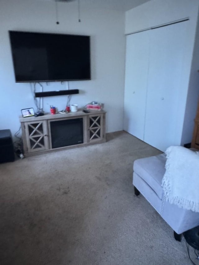 living room featuring carpet flooring
