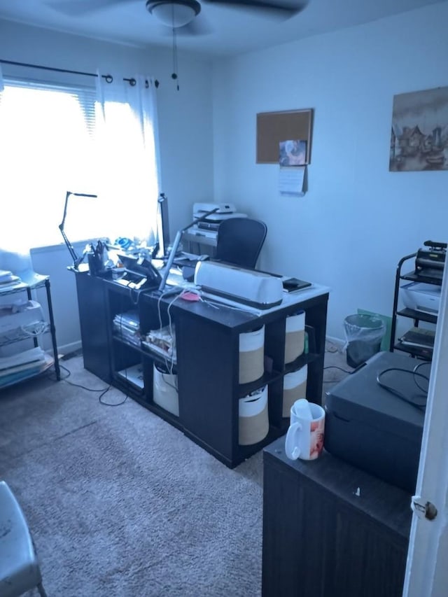 view of carpeted office space