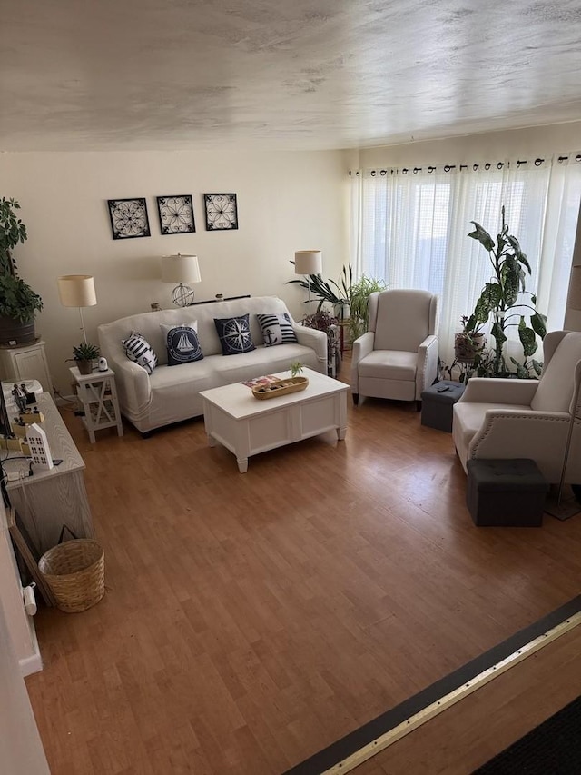 living room with wood finished floors