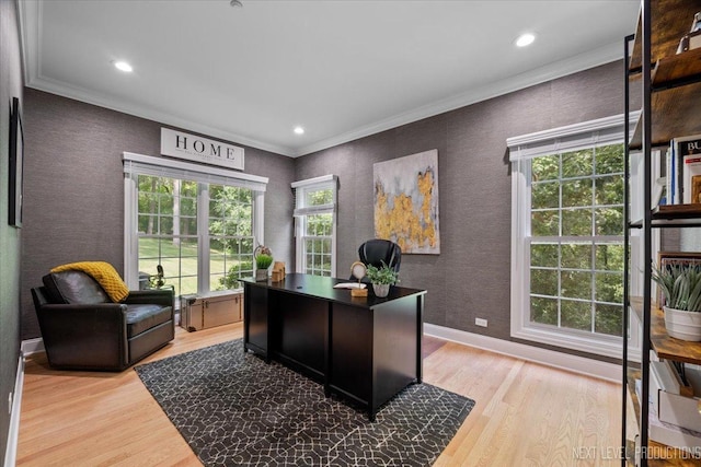 25660 N Countryside Dr, Lake Barrington, IL 60010 - office space featuring light wood-style floors, crown molding, and recessed lighting