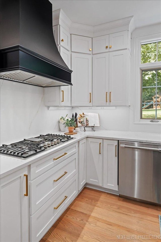 25660 N Countryside Dr, Lake Barrington, IL 60010 - kitchen featuring stainless steel appliances, premium range hood, light countertops, and white cabinetry