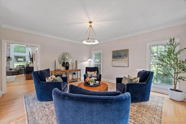 25660 N Countryside Dr, Lake Barrington, IL 60010 - living room with healthy amount of natural light, ornamental molding, and light wood-style flooring