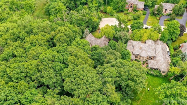 25660 N Countryside Dr, Lake Barrington, IL 60010 - bird's eye view of a forest