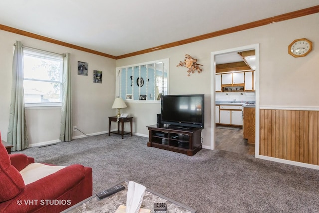 19705 Glennell Ave, Mokena, IL 60448 - living room featuring carpet flooring and crown molding