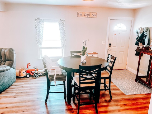 240 E 3rd Ave, Clifton, IL 60927 - dining area with plenty of natural light and light wood finished floors