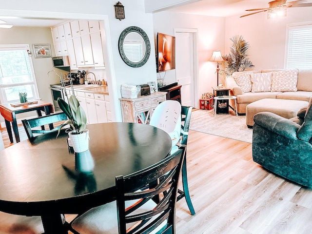240 E 3rd Ave, Clifton, IL 60927 - dining area featuring light wood finished floors and ceiling fan
