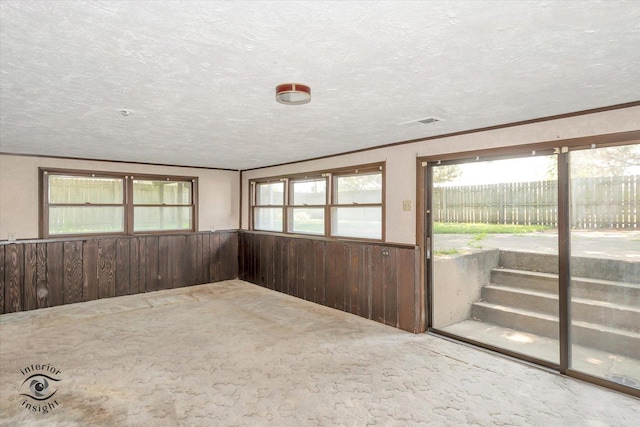 7235 174th Pl, Tinley Park, IL 60477 - carpeted spare room with a textured ceiling, wooden walls, and wainscoting
