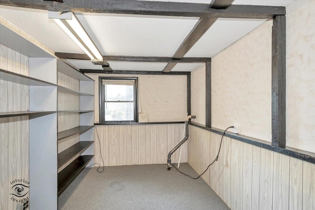 7235 174th Pl, Tinley Park, IL 60477 - view of storage room