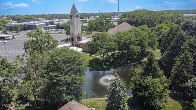11207 Cottonwood Dr Unit 21C, Palos Hills, IL 60465 - bird's eye view of a large body of water