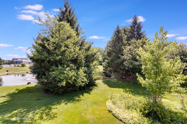 11207 Cottonwood Dr Unit 21C, Palos Hills, IL 60465 - view of grassy yard with a water view