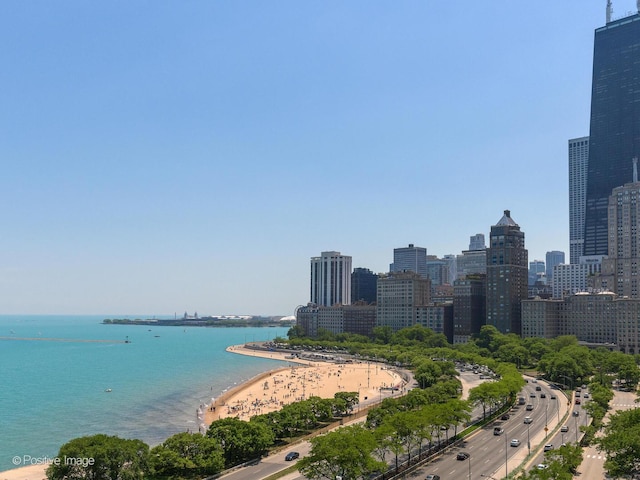 1212 N Lake Shore Dr Unit 12Cn, Chicago, IL 60610 - photo 13