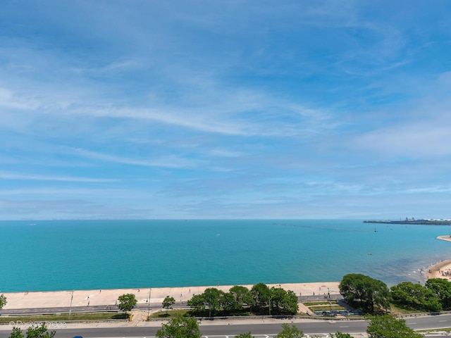 1212 N Lake Shore Dr Unit 12Cn, Chicago, IL 60610 - photo 3