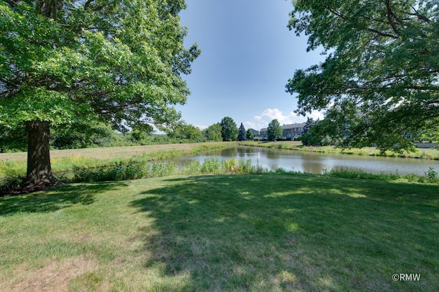 1261 River Ash Ct, Bartlett, IL 60103 - view of grassy yard with a water view
