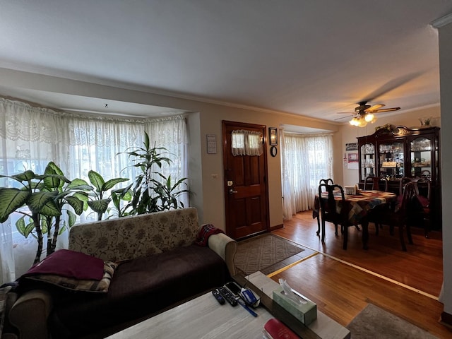 3506 N Rutherford Ave, Chicago, IL 60634 - living room featuring wood finished floors, a ceiling fan, and ornamental molding