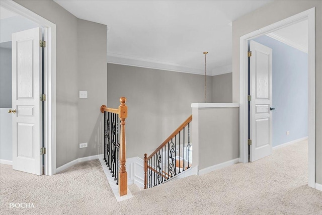 24731 Apollo Dr, Plainfield, IL 60585 - photo 31