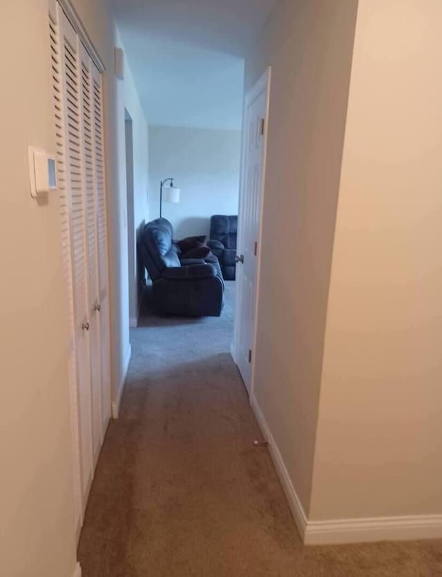 3114 W 163rd St, Markham, IL 60428 - corridor featuring carpet floors and baseboards