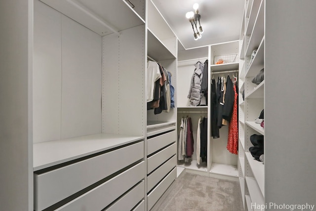 232 Bobolink Dr, Grayslake, IL 60030 - walk in closet featuring light colored carpet