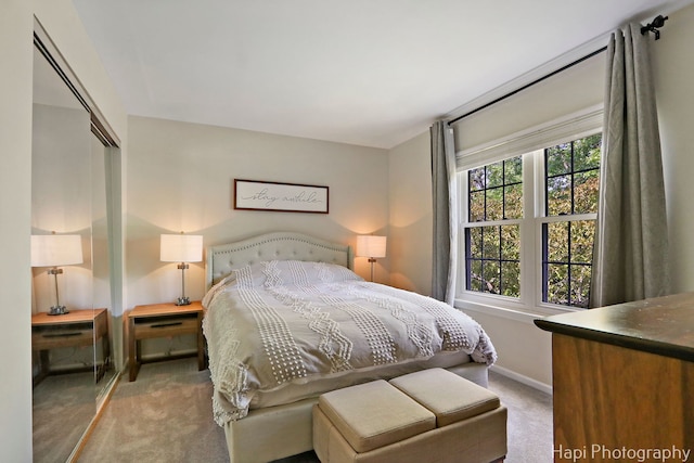 232 Bobolink Dr, Grayslake, IL 60030 - carpeted bedroom with baseboards and a closet