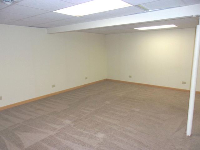 26901 W Burkhart Ln, Ingleside, IL 60041 - finished below grade area with light carpet and a drop ceiling