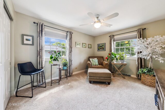 1010 59th St, Lisle, IL 60532 - photo 14