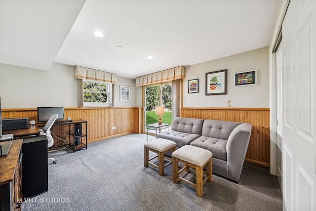 1010 59th St, Lisle, IL 60532 - photo 20