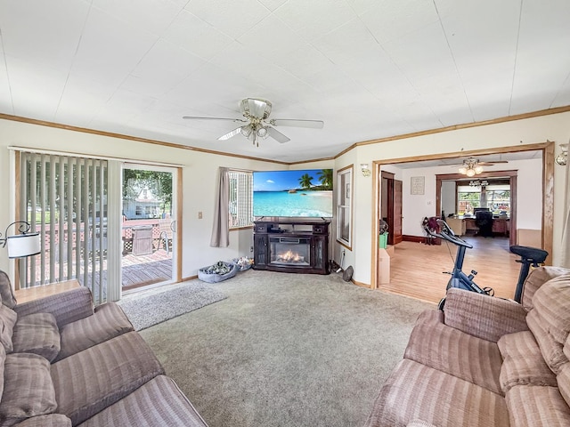 401 S Chestnut St, Shannon, IL 61078 - carpeted living area with crown molding, ceiling fan, and a glass covered fireplace