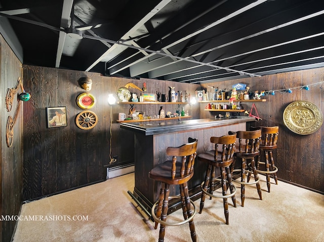 513 Chaney Ave, Crest Hill, IL 60403 - indoor dry bar featuring wood walls, carpet, and baseboard heating