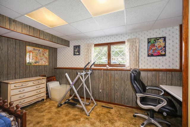10S125 Springbrook Dr, Naperville, IL 60565 - carpeted office space with a paneled ceiling, a wainscoted wall, wallpapered walls, and wood walls