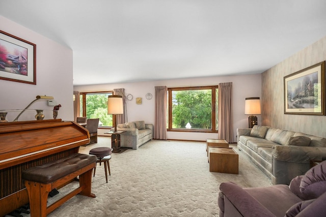 10S125 Springbrook Dr, Naperville, IL 60565 - view of carpeted living room