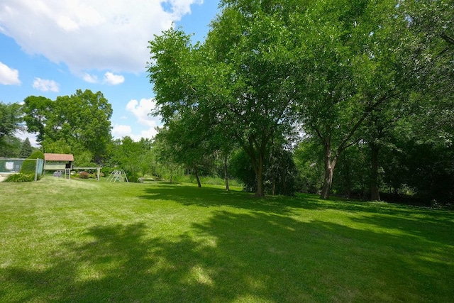 10S125 Springbrook Dr, Naperville, IL 60565 - view of grassy yard