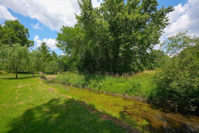 10S125 Springbrook Dr, Naperville, IL 60565 - view of green lawn