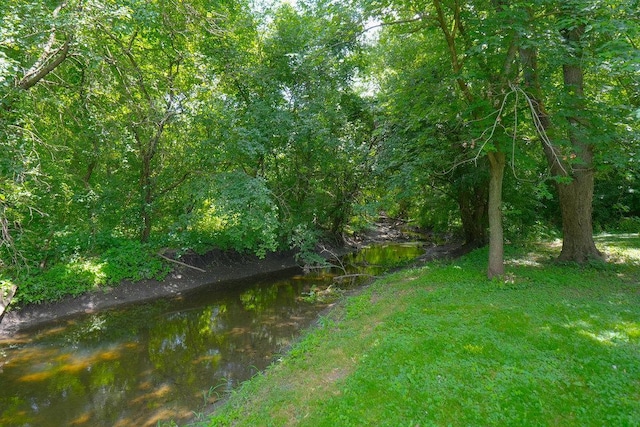 10S125 Springbrook Dr, Naperville, IL 60565 - view of yard