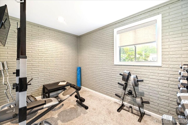 636 Cambridge Dr, Schaumburg, IL 60193 - workout area featuring carpet floors